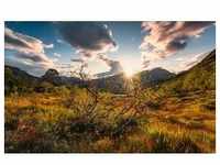 KOMAR Vliestapete "Norwegische Herbstwelten" Tapeten 450x280 cm (Breite x Höhe),