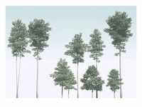 KOMAR Vliestapete "Pines" Tapeten 400x280 cm (Breite x Höhe), Vliestapete, 100 cm