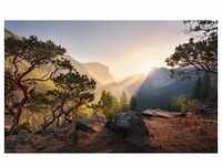 KOMAR Vliestapete "Yosemites Secret" Tapeten 450x280 cm (Breite x Höhe), Wohnzimmer,