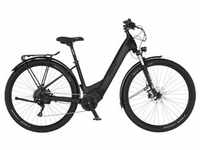 E-Bike FISCHER FAHRRAD "TERRA 8.0i 43" E-Bikes Gr. 43 cm, 29 Zoll (73,66 cm), schwarz