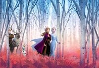 Komar Fototapete "Frozen Friends forever - Gr&ouml;&szlig;e 368 x 254 cm" bedruckt glatt