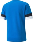 Fu&szlig;balltrikot PUMA "TEAMRISE JERSEY", Herren, Gr. XL, bunt (electric blau lemonade,