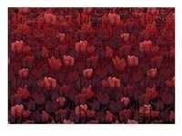 KOMAR Vliestapete "Tulipe" Tapeten Gr. B/L: 400 m x 280 m, Rollen: 1 St., rot