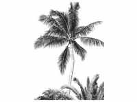KOMAR Vliestapete "Retro Palm" Tapeten 200x280 cm (Breite x Höhe) Gr. B/L: 200 m x