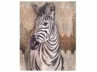 KOMAR Vliestapete "Zebra" Tapeten Gr. B/L: 200 m x 250 m, Rollen: 1 St., bunt