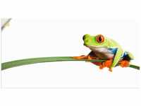 Artland Wandbild "Frosch auf einem Blatt", Wassertiere, (1 St.), als Alubild,