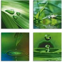 Artland Leinwandbild "Blatt Gras Wassertropfen" Zen 4 Stk. tlg. 4er Set, verschiedene