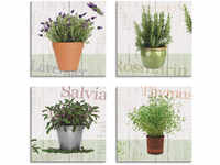 Artland Leinwandbild "Lavendel, Rosmarin, Salbei, Thymian", Pflanzen, (4 St.),...