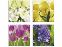 Artland Leinwandbild "Tulpen Lilien Hyazinthe", Blumen, (4 St.), 4er Set,
