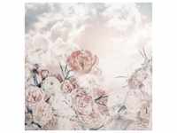 KOMAR Vliestapete "Blossom Clouds" Tapeten 250x250 cm (Breite x Höhe) Gr. B/L:...