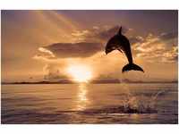 PAPERMOON Fototapete "Springender Delphin" Tapeten Gr. B/L: 3,5 m x 2,6 m,...