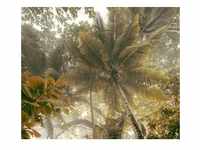 KOMAR Vliestapete "Palms Panorama" Tapeten 300x250 cm (Breite x Höhe),...