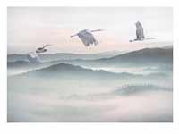 KOMAR Vliestapete "Mystic Cranes" Tapeten 400x280 cm (Breite x Höhe) Gr. B/L: 400 m