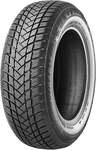GT Radial Winterreifen "GT RADIAL" WINTERPRO 2