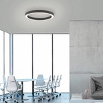 NEUHAUS PURE LED Deckenleuchte "PURE Lines Round", schwarz (graphite), 1, &Oslash; 50cm H: