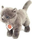 Teddy-Hermann 91825 7, Teddy-Hermann Teddy Hermann Pl&uuml;schtier Kart&auml;user Katze