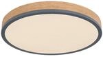 GLOBO LED-Deckenleuchte Opal Graphit Metall Kunststoff H/D: ca. 8,5x45 cm