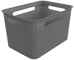 Rotho Aufbewahrungsbox anthrazit B/H/L: ca. 26x21x36 cm
