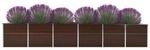 Garten-Hochbeet braun Stahl B/H/L: ca. 80x77x480 cm