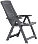 vidaXL Klappstuhl anthrazit Kunststoff B/H/L: ca. 61x109x60 cm