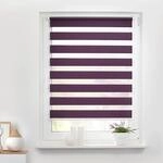 LICHTBLICK Doppelrollo Duo brombeer B/L: ca. 55x150 cm