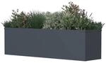 Westmann Pflanzkasten Talus anthrazit Metall B/H/L: ca. 100x27x25 cm
