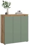 Schrank SCARPA Evoke Oak Nachbildung gr&uuml;n B/H/T: ca. 105x111x37 cm