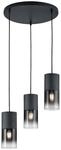 Reality Pendelleuchte Robin schwarz Rauch Glas Metall B/H: ca. 35x150 cm E27 3