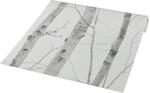 Vliestapete Birkenwald grau creme B/L: ca. 53x1005 cm