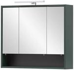 Spiegelschrank Kent waldgr&uuml;n B/H/T: ca. 70x64,2x16 cm