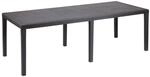 ProGarden Tisch Queen anthrazit Kunststoff B/H/L: ca. 90x72x220 cm