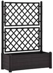 Gartenspalier anthrazit B/H/L: ca. 43x142x100 cm