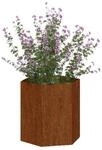 vidaXL Pflanzk&uuml;bel braun Stahl B/H/L: ca. 40x45x40 cm