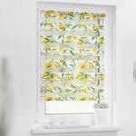 LICHTBLICK Doppelrollo Duo Limone gelb B/T: ca. 90x150 cm