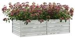 Garten-Hochbeet silber Stahl B/H/L: ca. 80x45x160 cm