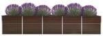 Garten-Hochbeet braun Stahl B/H/L: ca. 80x45x400 cm