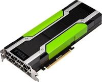 PNY Nvidia Tesla P100 16GB