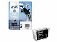 EPSON T7607 light schwarz Druckerpatrone C13T76074010