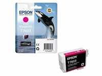 EPSON T7603 vivid magenta Druckerpatrone C13T76034010