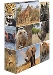 HERMA Motivordner Afrika Tiere 7,0 cm DIN A4 HERMA Motivordner Afrika Tiere 7,0 cm DIN A4