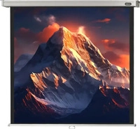 Celexon 1090045, celexon Rolloleinwand Professional 1:1, 220 x 220 cm