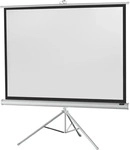 Celexon 1090275, celexon Stativleinwand Economy 4:3, 244 x 183 cm Projektionsfl&auml;che