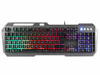 speedlink LUNERA Metal Rainbow Gaming-Tastatur grau, schwarz SL-670006-BK