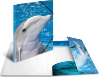 HERMA Sammelmappen DIN A4 Delfine, 3 St.