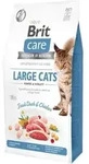 BRIT Care Grain-Free Gro&szlig;e Katzen Power & Vitality 2kg