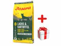 JOSERA Lachs & Kartoffel -Grain Free 12,5kg + Überraschung für den Hund (Mit