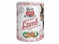 BRIT CARE Cat Snack Superfruits Lamb100g (Mit Rabatt-Code BRIT-5 erhalten Sie 5%
