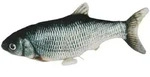KERBL Katzenspielzeug Springender Fisch, 28 cm