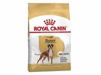 ROYAL CANIN Boxer Adult 12kg+Überraschung für den Hund (Mit Rabatt-Code...