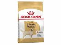 ROYAL CANIN Labrador Retriever Adult 12kg +Überraschung für den Hund (Mit